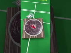 Dispositivo de engaño de dados de inducción variable Conjunto de dados cargados magnéticos / no magnéticos