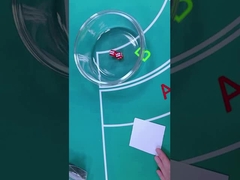 Conjunto de dados de plástico de 12 mm / 16 mm juego de apuestas de casino dados con impresión animal